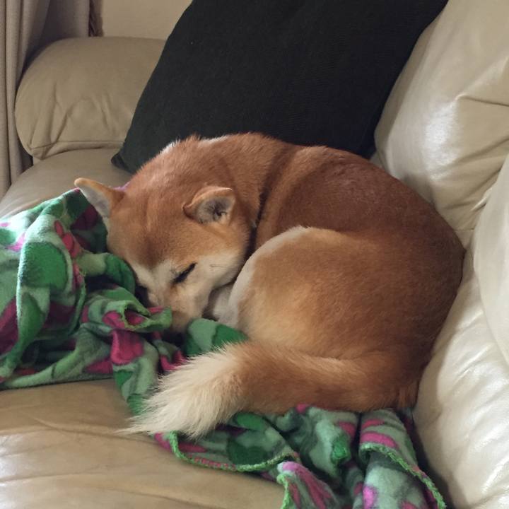 086cb479 de55 4d4b af11 c028c8e6b9ab