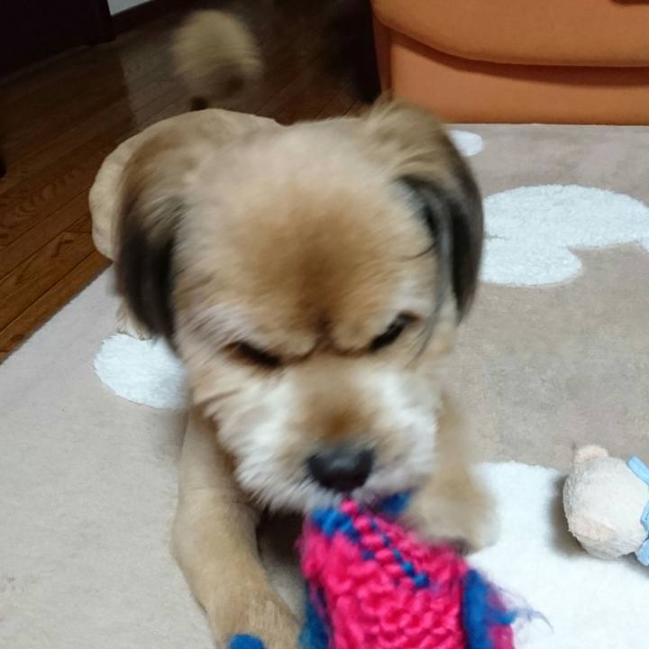 086d0693 f4b6 4b24 a877 d2c14f92b6cd