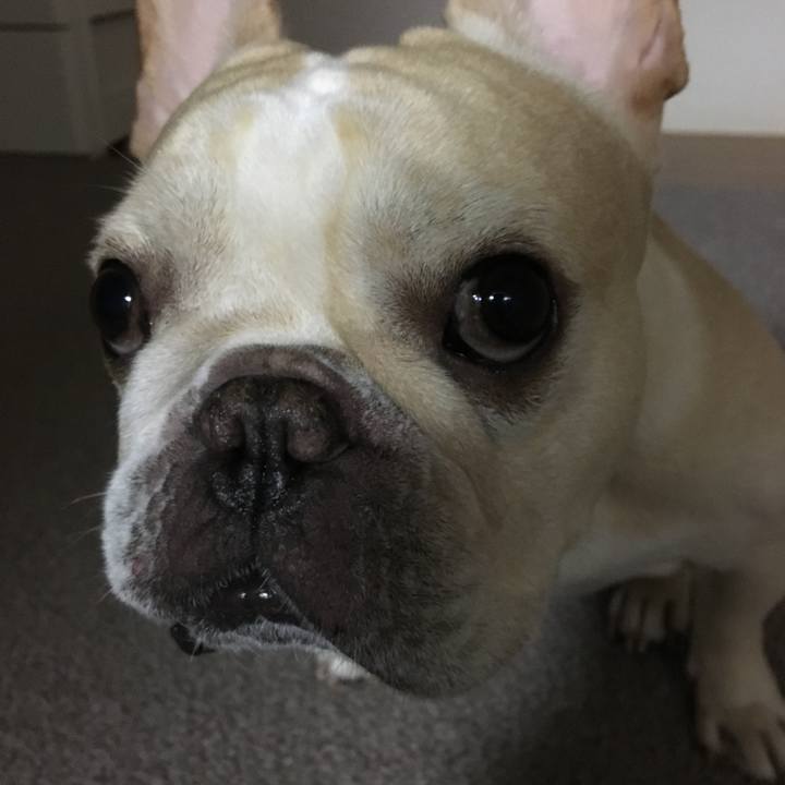 086d4792 2da8 4478 860f 3bc2ef1631d4