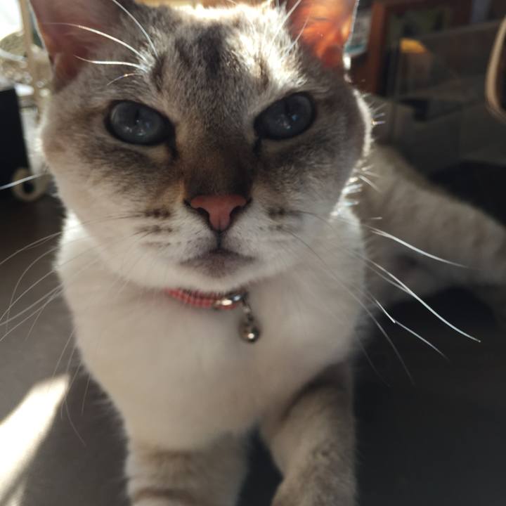 086e09b8 8f70 478b 87d4 33546c6f8f90