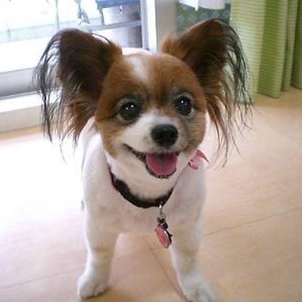 086e24ee 87b1 420d 9942 cd9f75430b20