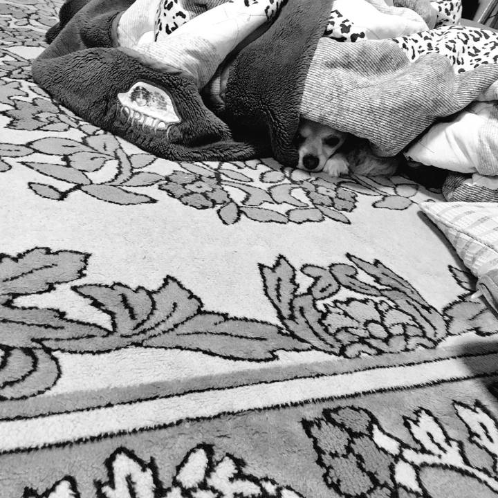 086e7de5 c74e 4545 90d8 96d5a5fe7872