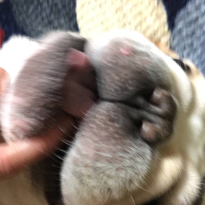 086e8c6d f24c 4737 826b a0994415e12a