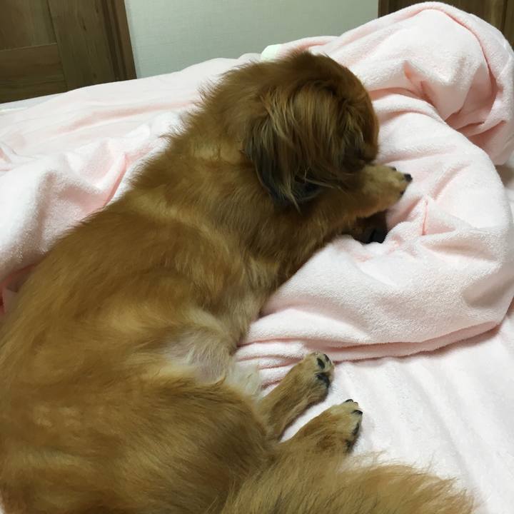 086eba16 6741 44e3 9e7f dbe77cdbec27