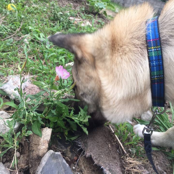 086ec344 dad0 4b60 bad7 1aaaf39fb853