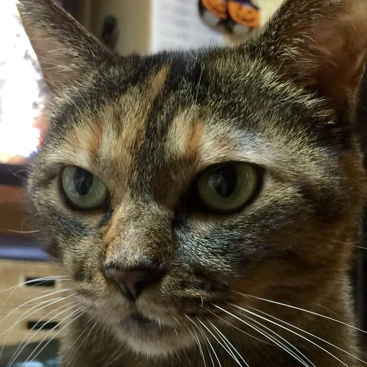 086f392b 81ad 4e5c 9073 3a910f3182bb