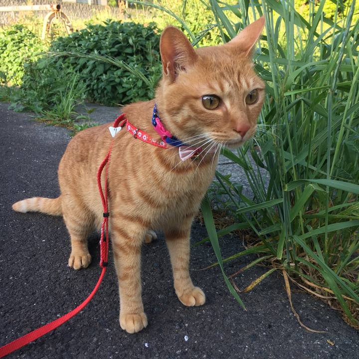 0870ad10 eb87 4329 a083 4e6d18906f47