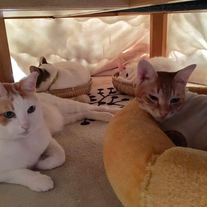 08711500 1225 46eb ac10 c38b2224b3ed