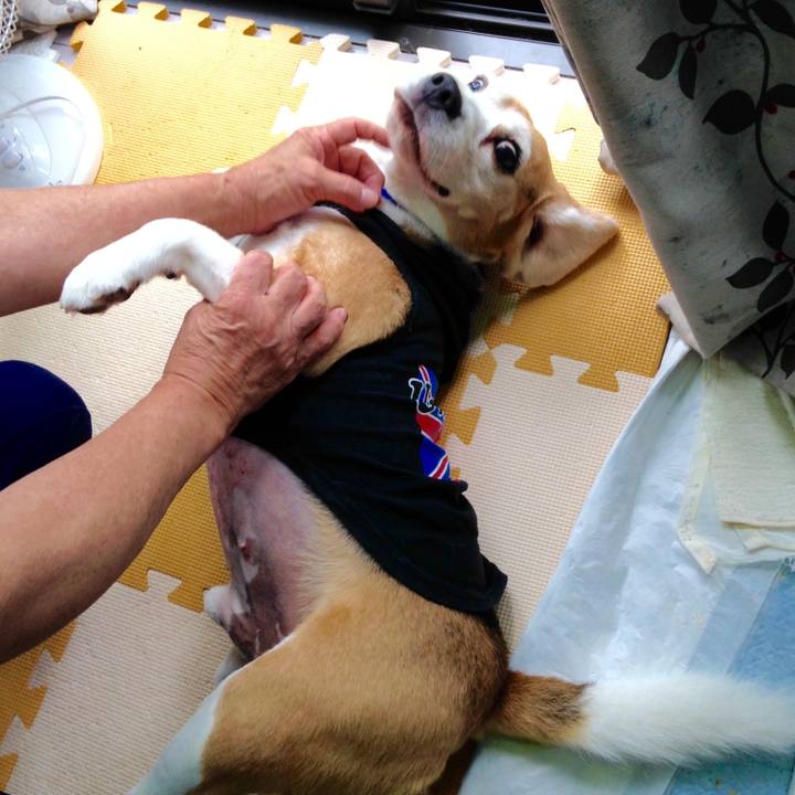 08714856 1740 4a74 b482 403a6dabbc6b