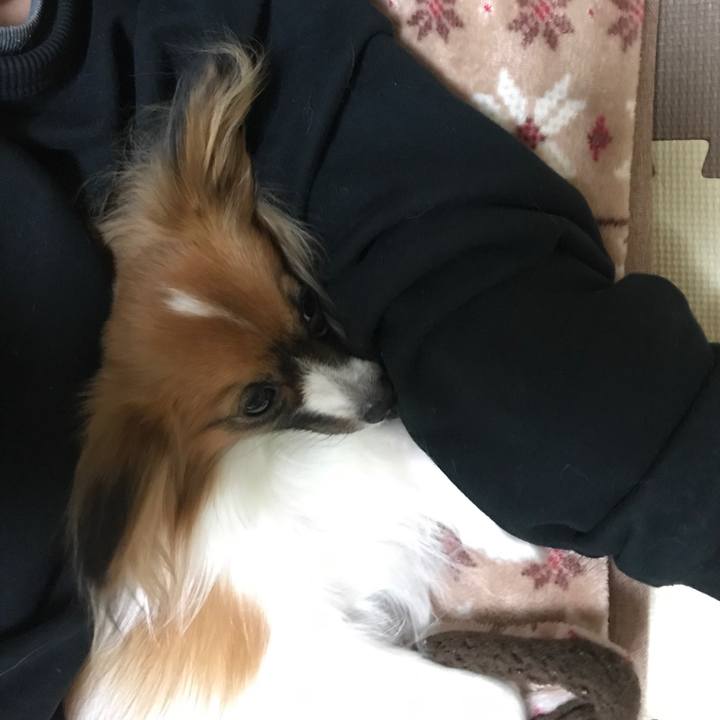 08715829 055a 4c34 b6de 58e1f896d8bb