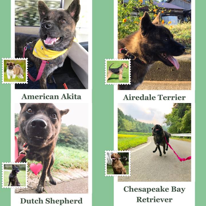 08716916 d2b1 4dcd 91dc 4d33c2f3a8eb