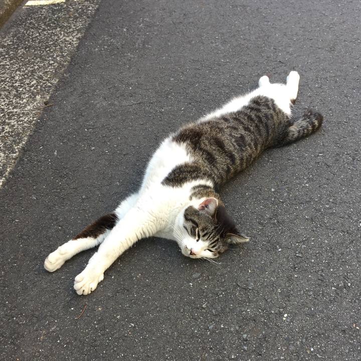 0872021a 3fef 49b1 8971 b16cb018b6d9