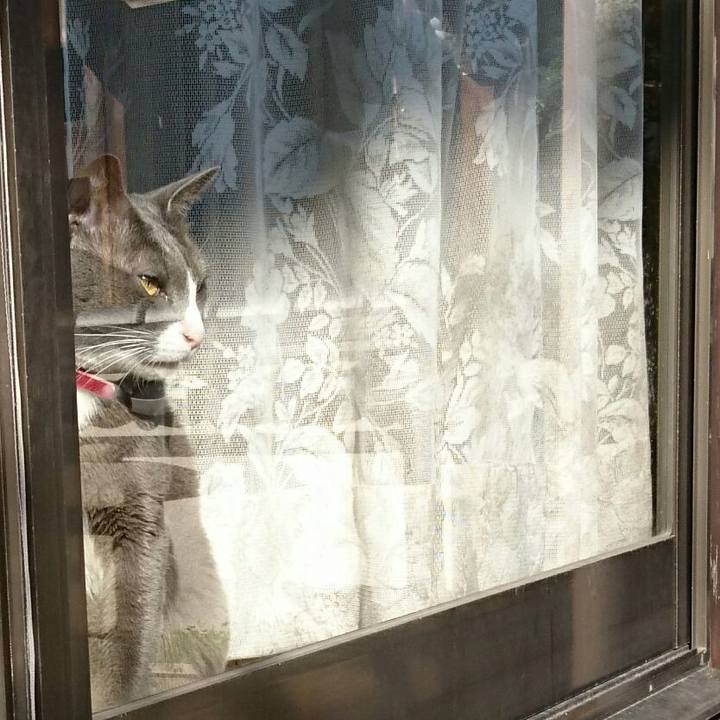 08720fd9 9c45 417d 9319 3a0430370cec