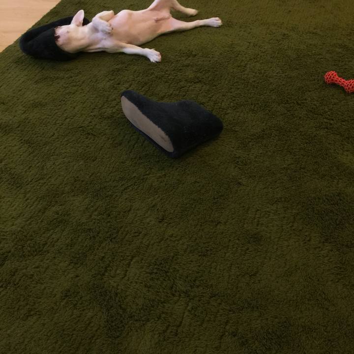 087219ae 3a2c 40ea 9e15 53f972bf00d0