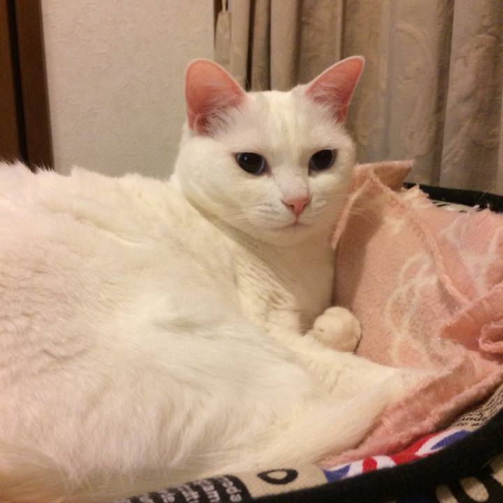 087256c2 8785 4f15 98fc 62f889052db6