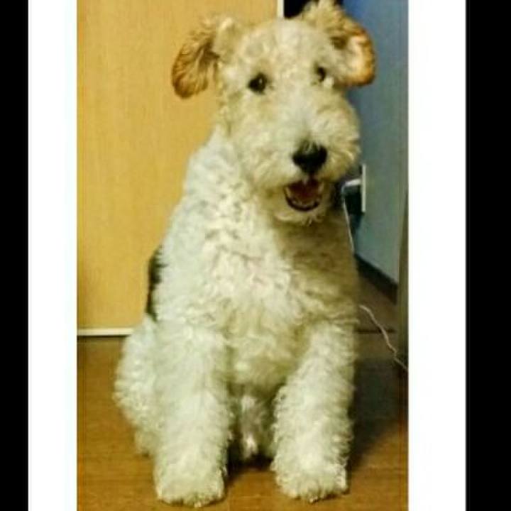 08726f57 4133 4ed9 928a 522acf3a8d53