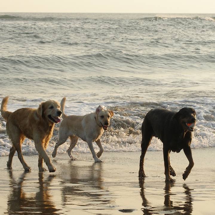 0872c689 7b8b 4b6d 9059 1133547517b4