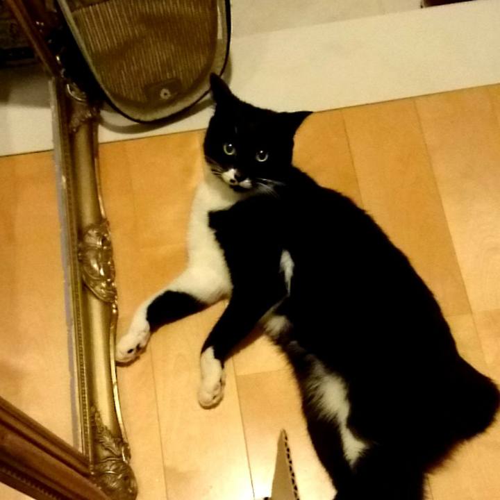 087303d1 68ff 4f8f aa49 f9dd93cff6cf