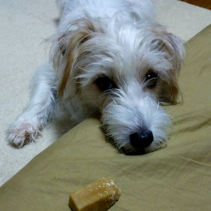 0873125d f2a7 47e5 86fd 984c2792fe01