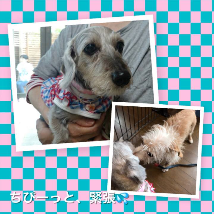 08736fb0 34a6 40ac bdf6 f3a41c5e5005