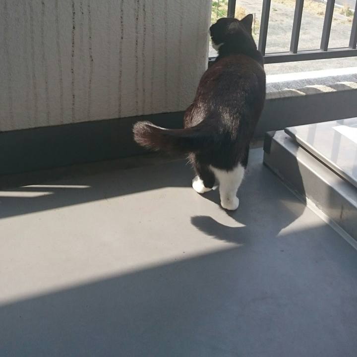 0873a009 c75d 43a5 b854 04d625bd19ee