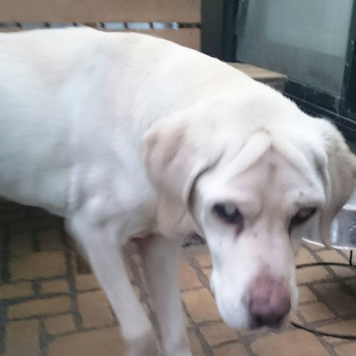 0873b215 77ca 4ae5 9855 6155956c4959