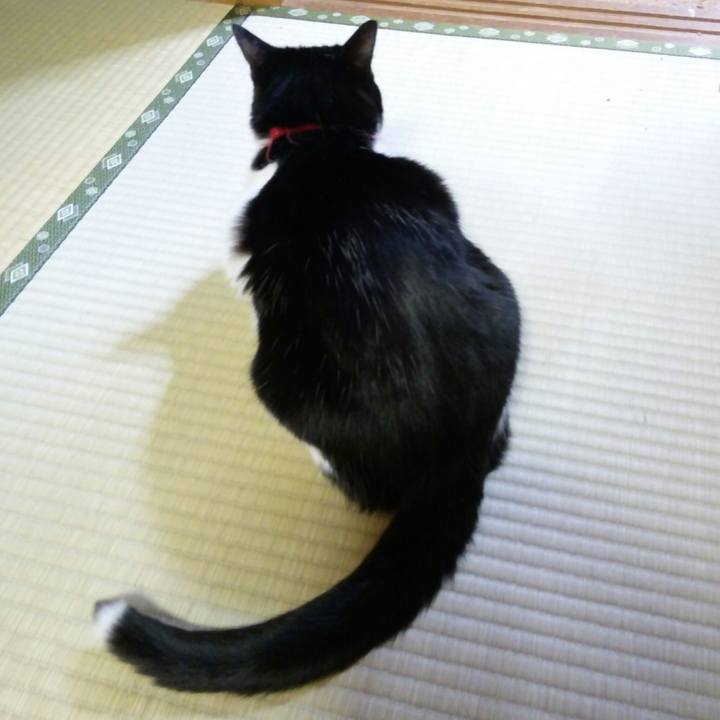 08742e14 5f9d 41d1 93f7 c3fef3aaf508