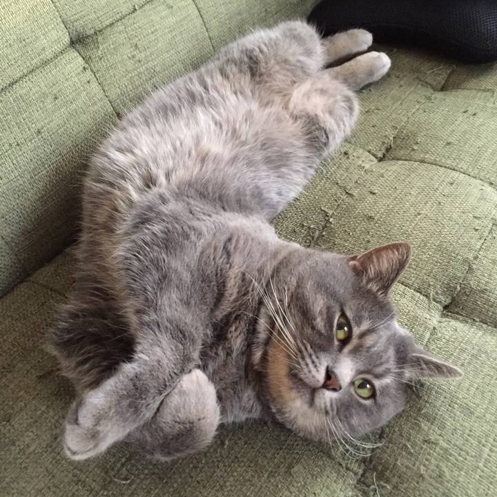 08744f0e 2844 418e bc93 21987fb82ead