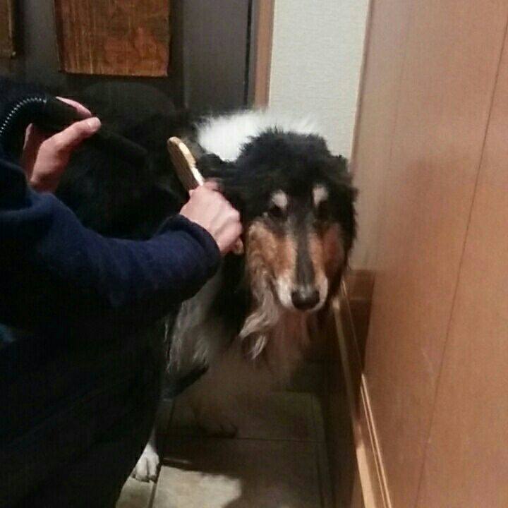 087499fc 3b3f 4ccf bbc1 2dd24ce1996f