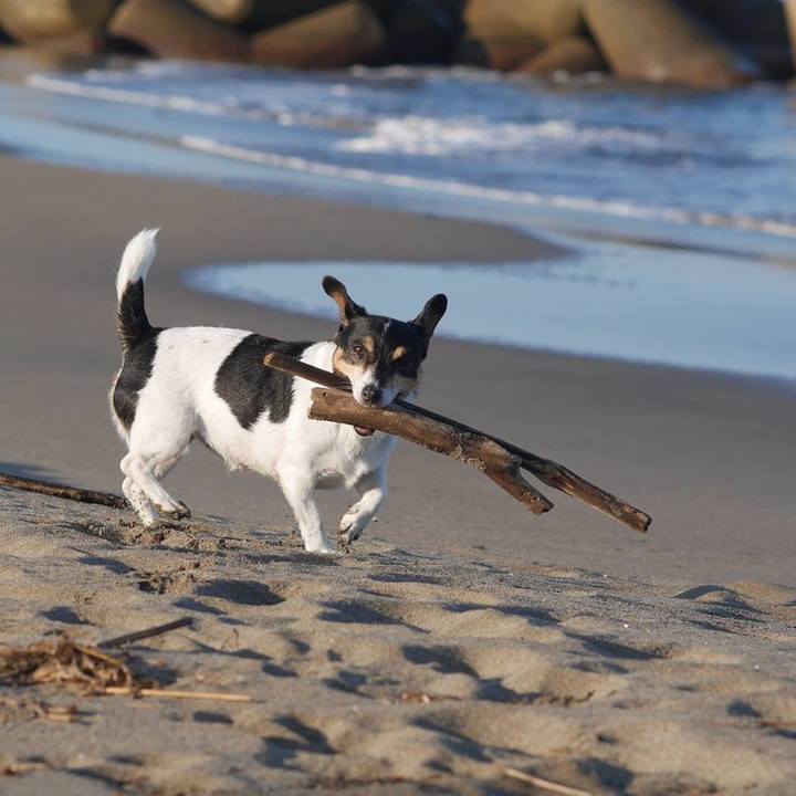 08749d68 753d 4256 a7fb 6e0f29842796