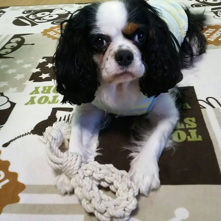 08753fd3 1438 4c8e 86d0 333d3fdbc25d