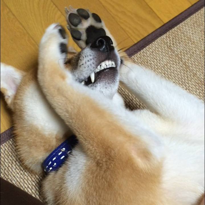 08754bad 5b5a 4e90 824a e1dfb666d0c5