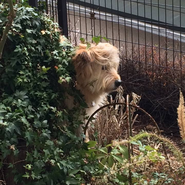 0875770e ae0d 457a 9791 c12f9ceff04b