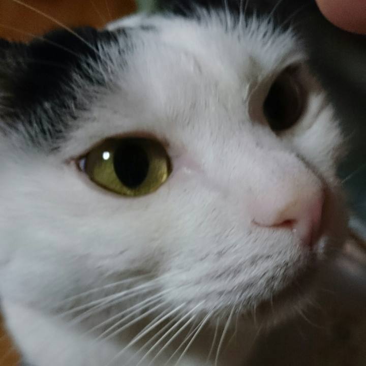 0875a186 cc4e 40c0 8cd2 56c9b7412778