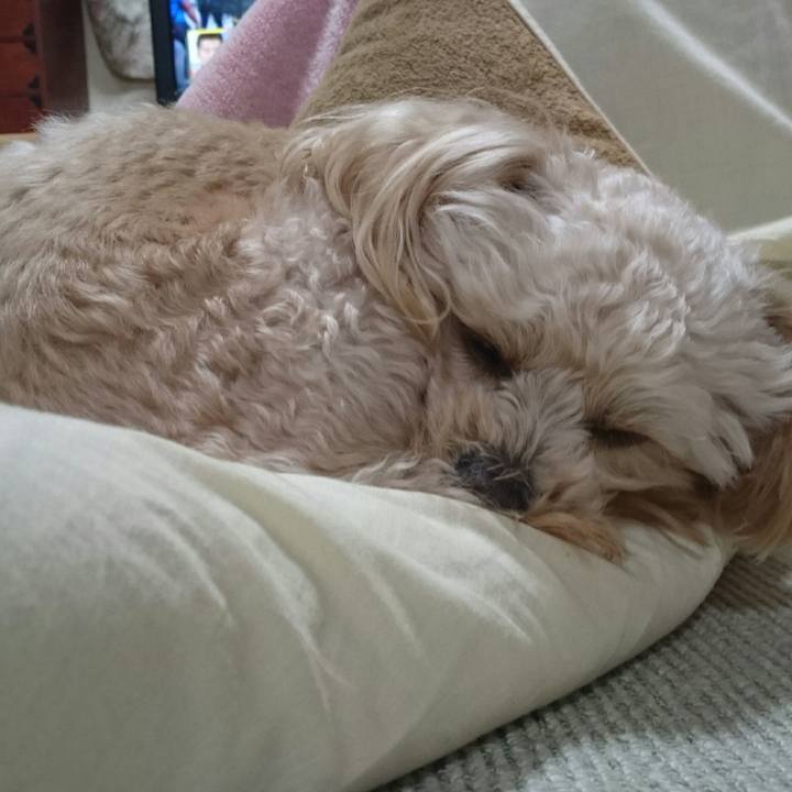 08762e72 45c7 4c35 9342 437f8a39edd1