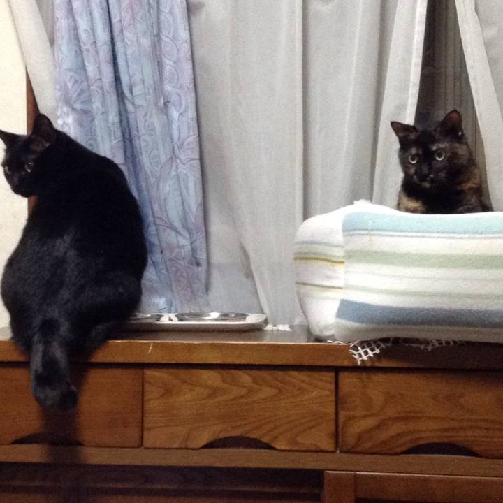 087644d3 9e6a 457d 83f5 3abc6b9e8508