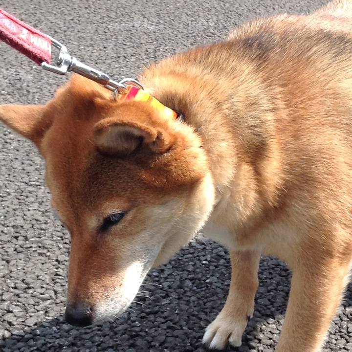 08767682 ca33 4ff6 a2e9 8f95341ad15c