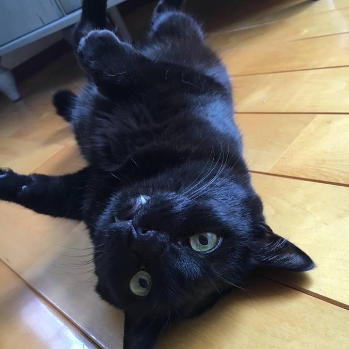 0876bffb 8d23 4520 b25e 377563f79440