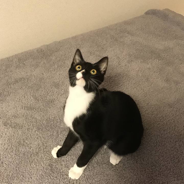 0877bda1 006e 4c31 a317 cabe65f28661