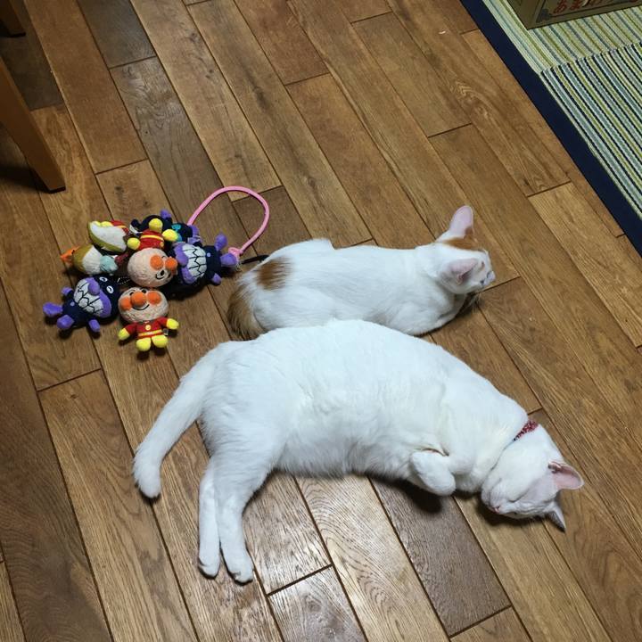 0877e091 077d 45d8 9f97 7f920c4a29bc