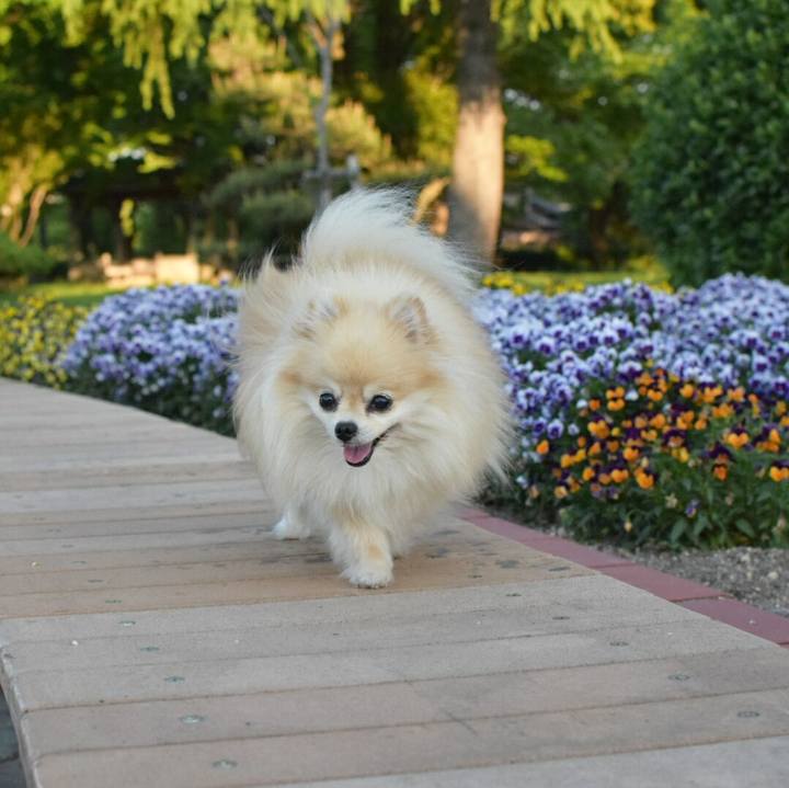 08780405 ae4b 400c 9c7d 25128a6ea242