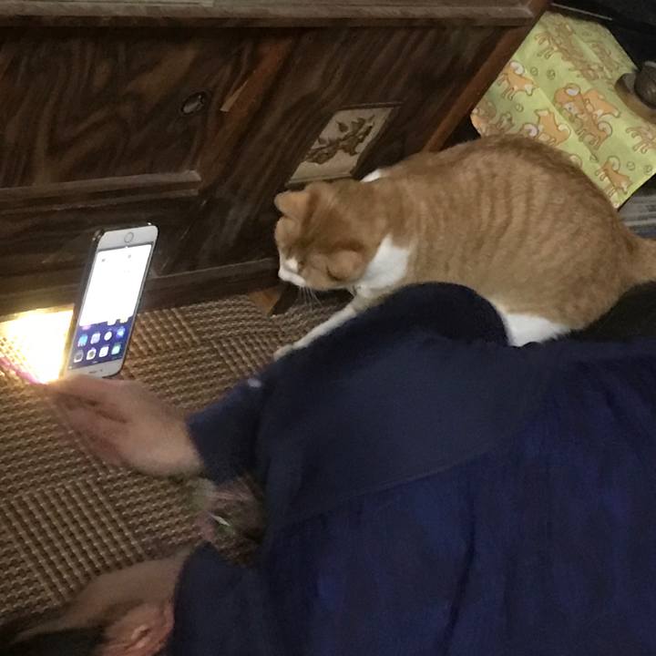 08780cd5 8cd0 4a94 a582 da3421f195d6