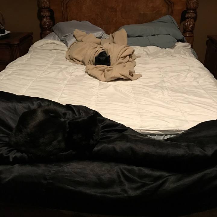 08782e8c 94f1 4bce 9176 f656d76f982b