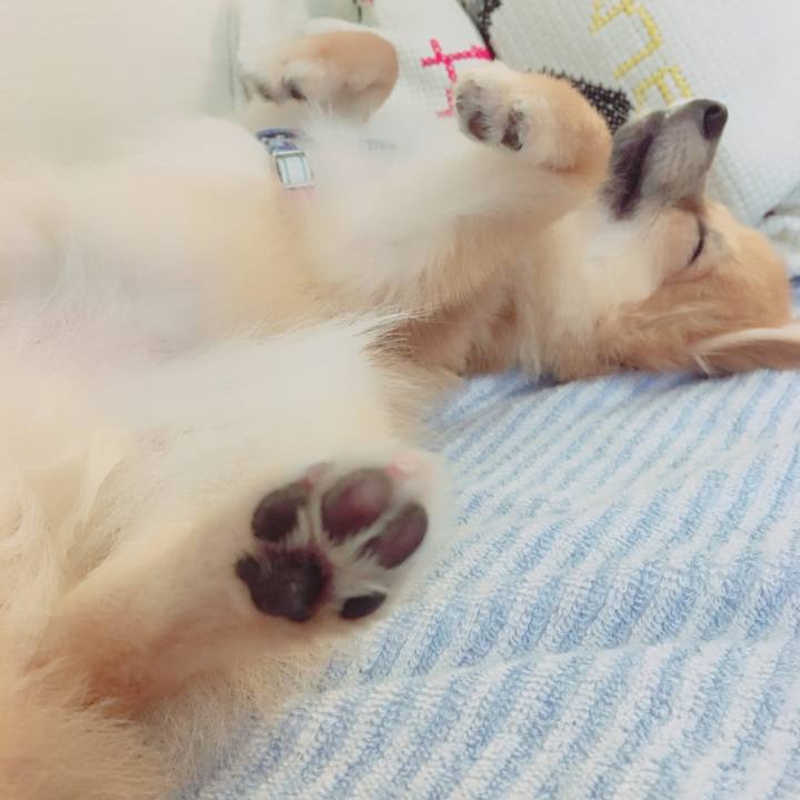 08798675 8d7b 40c6 89bf 7078a47627f5