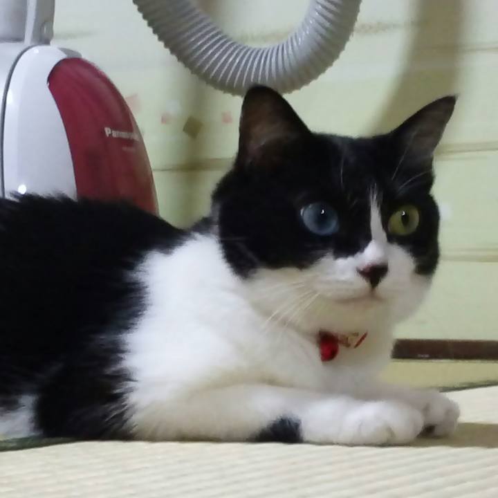 0879aa45 f795 4257 a038 aef02b6e5ee2