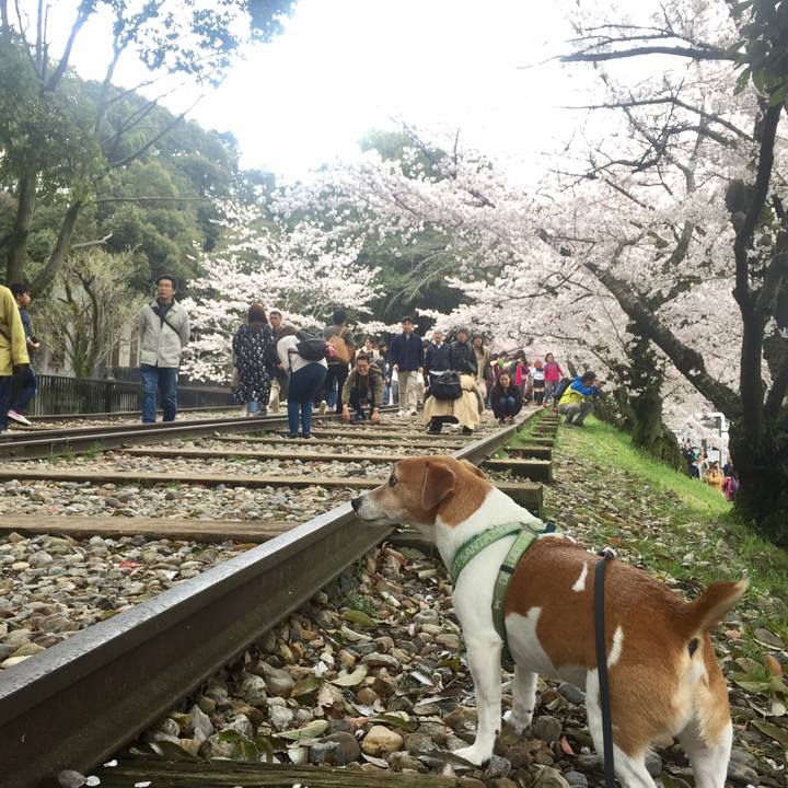 0879b5f0 4d4a 4a9b a9ea fa6ea8d77325