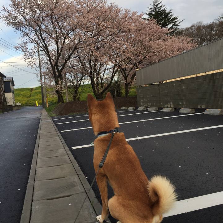 0879c3ae 1e05 48f6 bad6 0d7732daea27