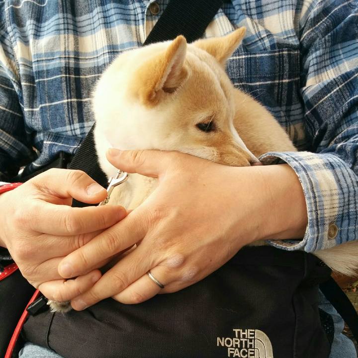 087a6ab2 d973 443f 889e bcc3612341fd