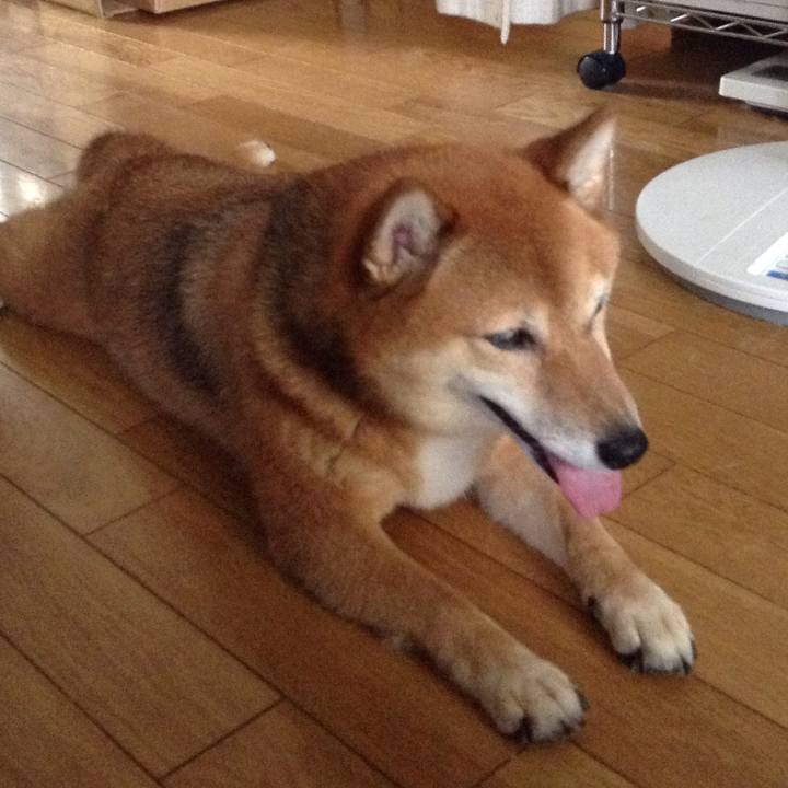 087a73d2 b195 4d1e ad90 a626b87c0d93