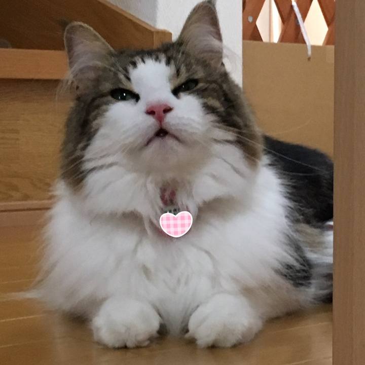 087adcdf b186 44c1 a3ce 6b64fd3d9874